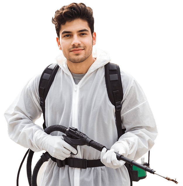 Best Pest Control Services Hyderabad